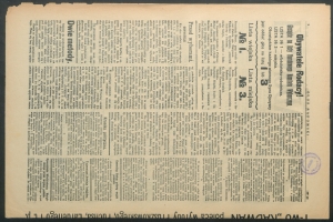 glos radomski-1919-19-00002